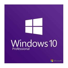 MICROSOFT Windows 10 Professional - ENG