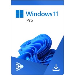 MICROSOFT Windows 11 Professional - ENG